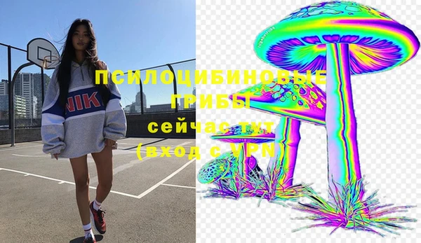 бутират Алексеевка