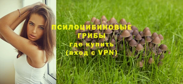 кристаллы Алзамай