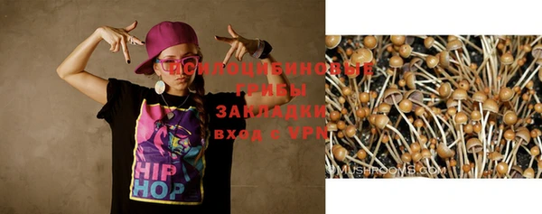 бутират Алексеевка