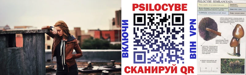 площадка какой сайт  где найти   Гдов  Псилоцибиновые грибы ЛСД 