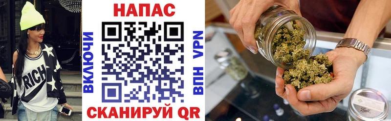 МАРИХУАНА планчик  площадка наркотические препараты  Гдов 